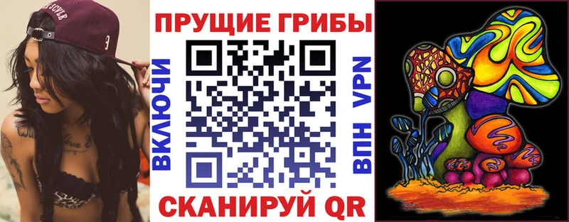 Псилоцибиновые грибы Cubensis Кулебаки