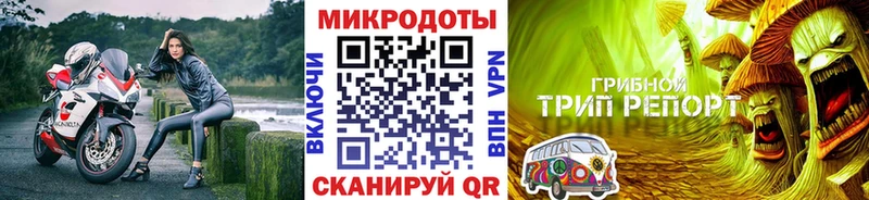 где можно купить наркотик  Кулебаки  Псилоцибиновые грибы Psilocybe 